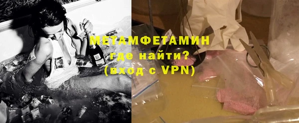 индика Богданович
