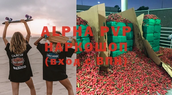 индика Богданович