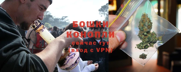 индика Богданович
