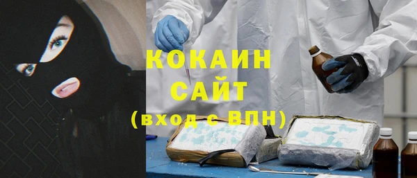 индика Богданович