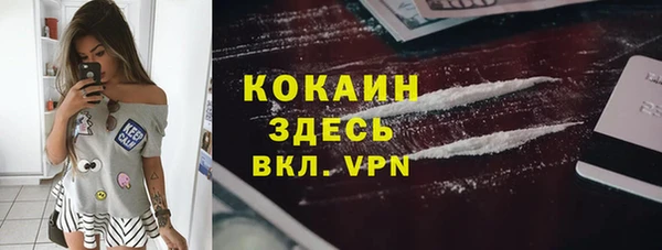 индика Богданович