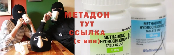 индика Богданович