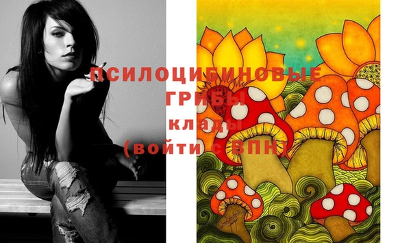 индика Богданович