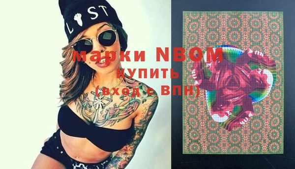 индика Богданович