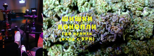 индика Богданович