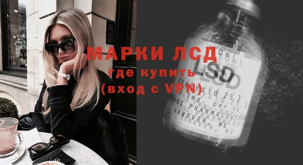 индика Богданович