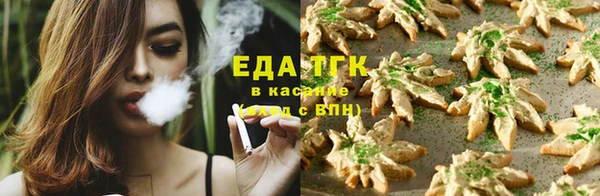 индика Богданович