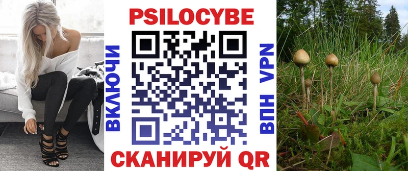 Псилоцибиновые грибы Cubensis  Орск 